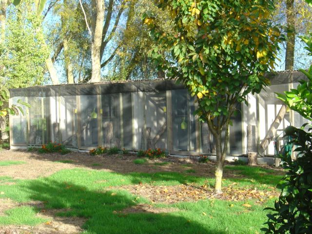 Orchard Units