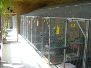 Garden-view Units
