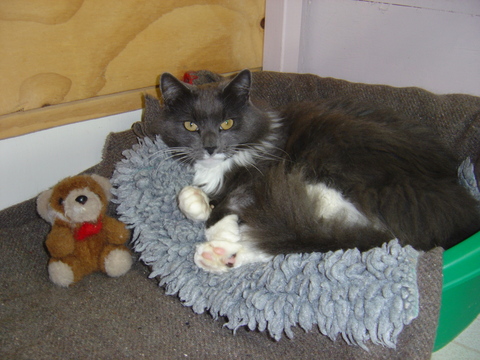 I brought my Teddy..