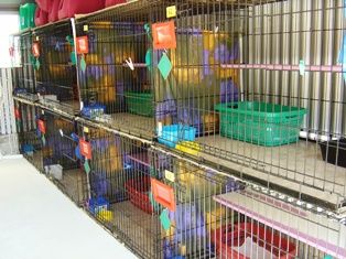 Indoor units
