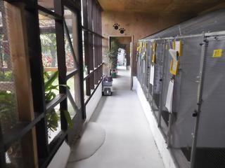 Garden-view Units