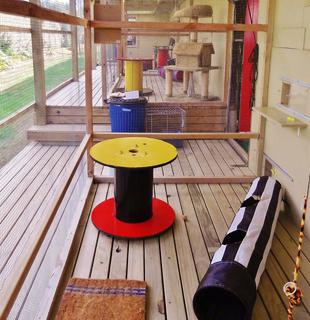 Deck Units